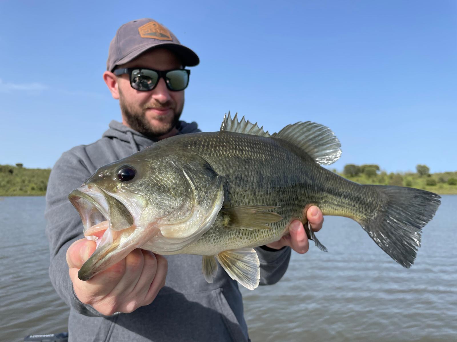 WhatsApp Image 2025-12-18 at 09.43.04